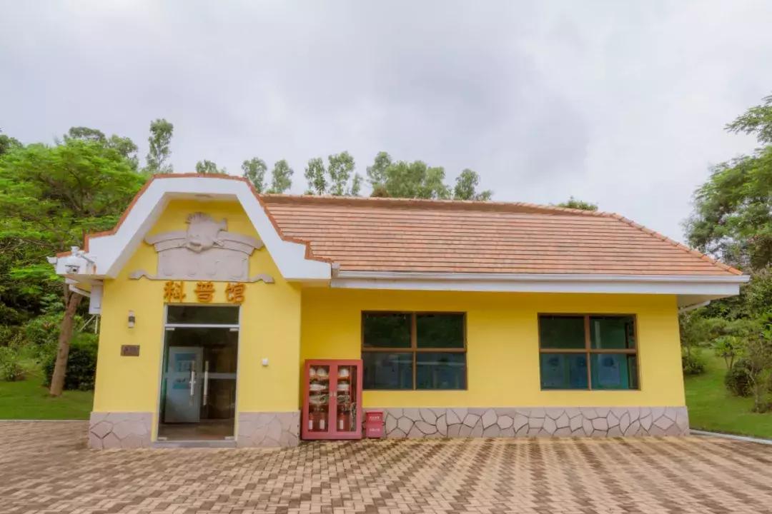 深圳哪里有摩天轮可以坐,深圳哪里有免费摩天轮