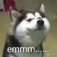 100个感人催泪瞬间,中国体育催泪感人的瞬间