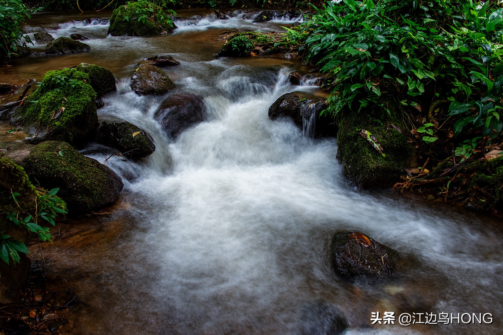 溪水潺潺心旷神怡,美景溪水潺潺