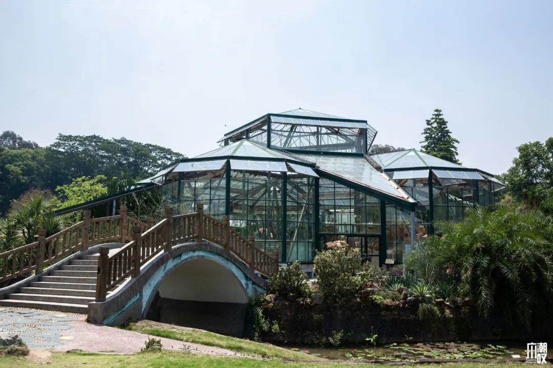 300+万㎡原始森林秘境，天河就有