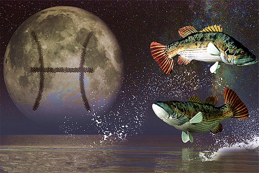 温柔美丽的双鱼座女孩,应该怎样做,才能找到真爱?