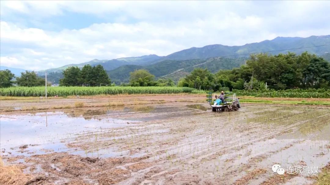 福建省农机促春耕,我市农机具助力春耕生产