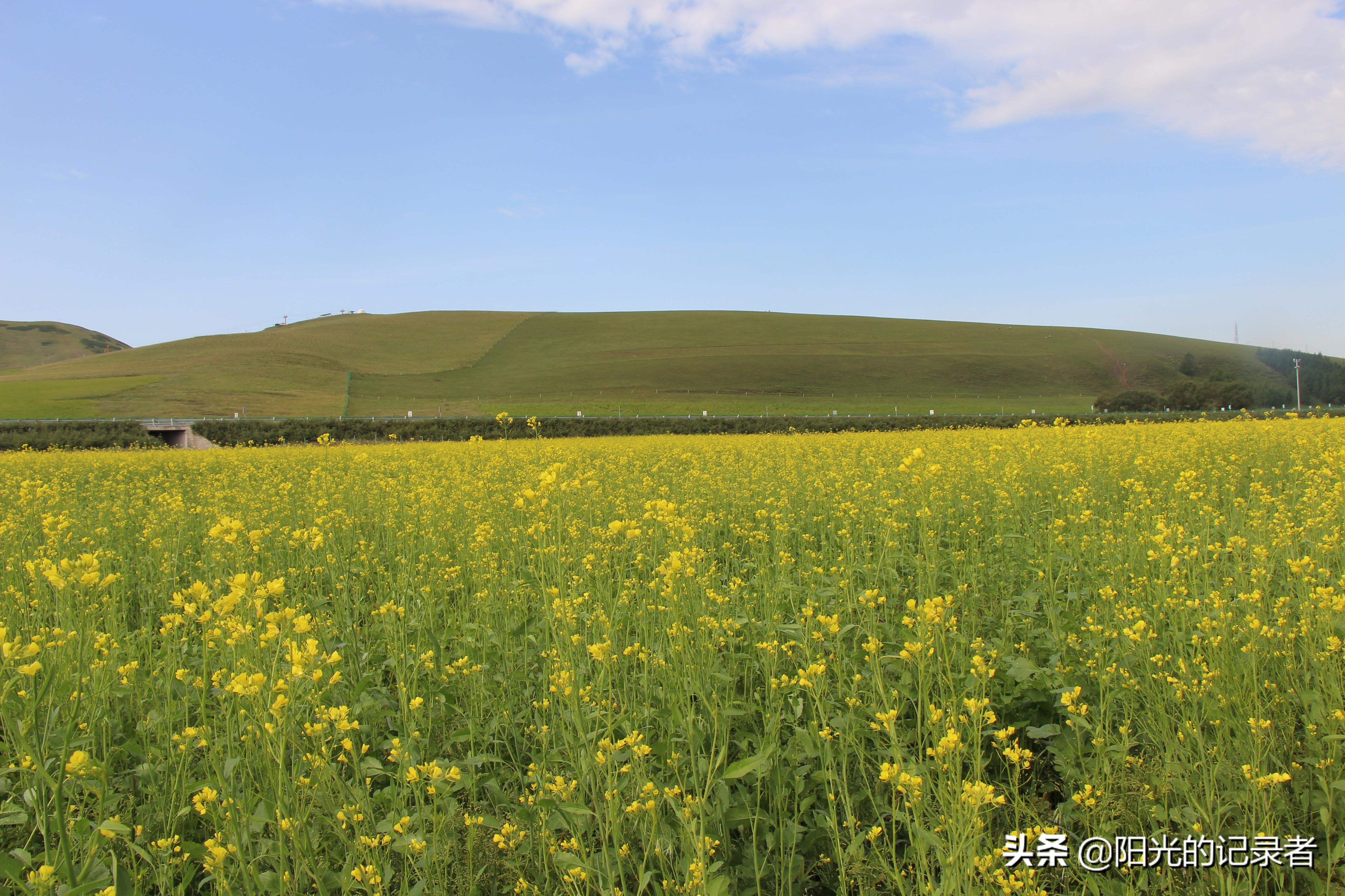 丰宁坝上草原哪几个免费景点必去,丰宁坝上景点冬天推荐