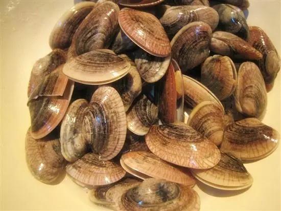 黄蚬子怎么吐沙最快方法,花蚬子怎么泡出沙子