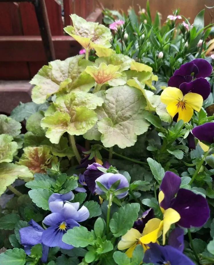 第七届园丁奖,第六届园丁奖奖励