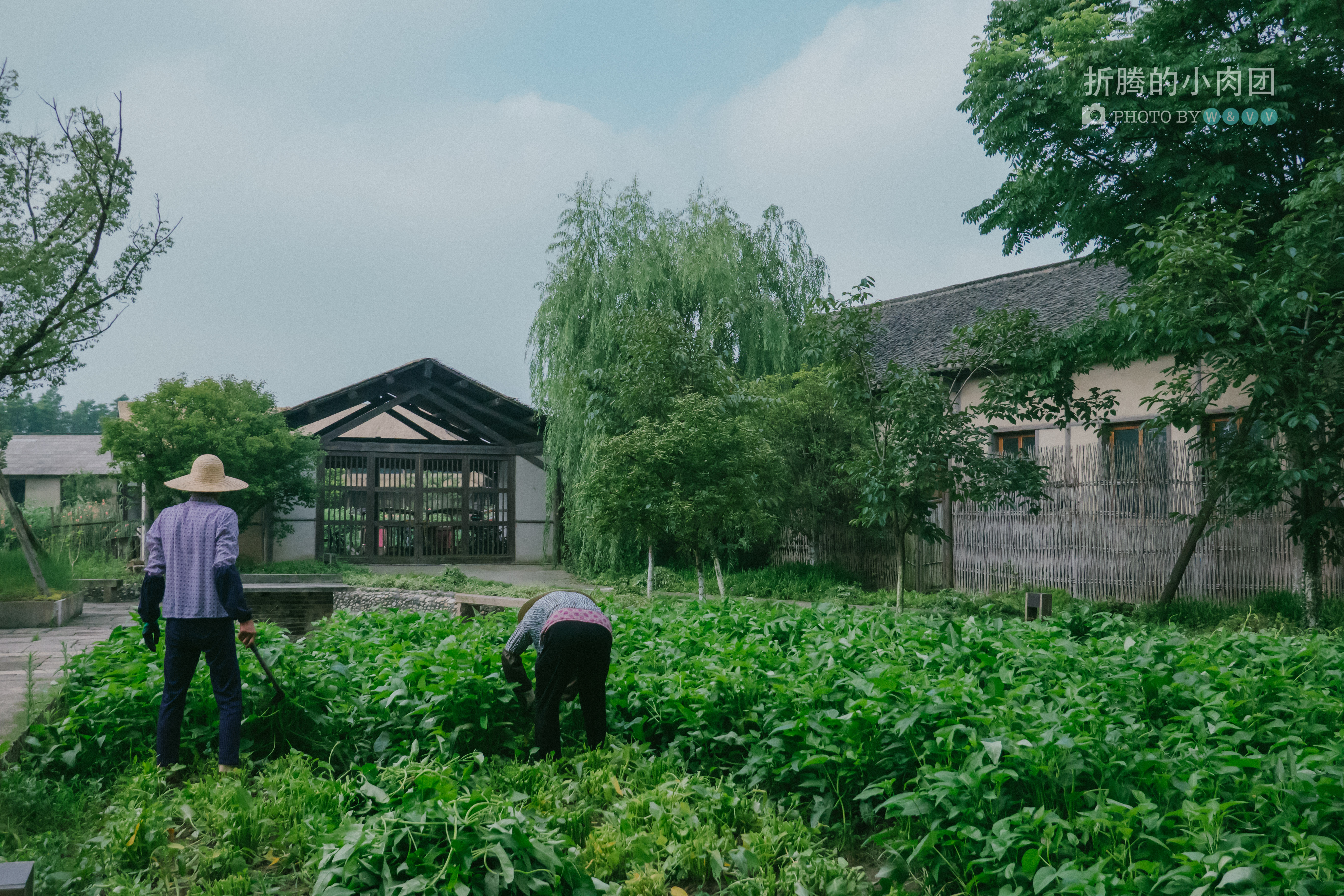 乌村亲子游全攻略,乌村亲子游攻略