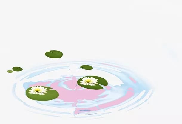 诸葛学堂文言文讲解视频,诸葛学堂经典古诗词