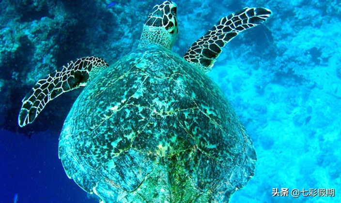 月薪5k能去哪个国家玩,月薪2k都能浪漫海岛旅行