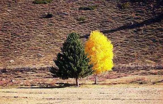 亲情永远藏在每个人的心间,亲情是永远割舍不断的爱