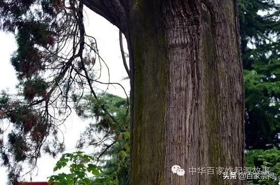 瀛欐皬瀹楃钀芥垚澶у吀,瀛欐皬瀹舵棌瀹楃钀芥垚浜哄北浜烘捣