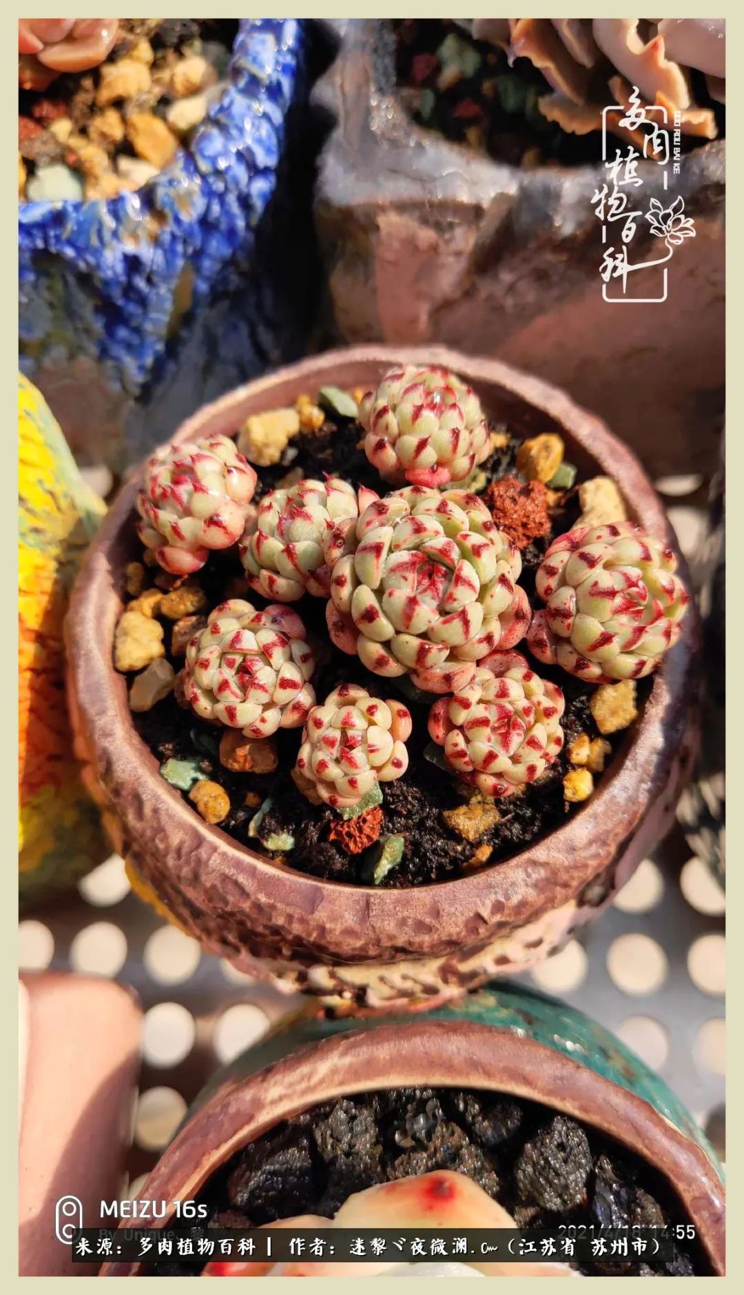 秋尽冬来岁月不居时节如流,岁月不居时节如流水