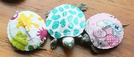 6元礼包免费送的游戏,免费送玩家六元的游戏