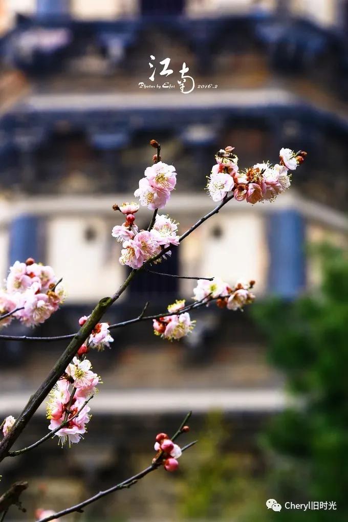 苏州旅游值得去的景点,去苏州旅游攻略最好的景点