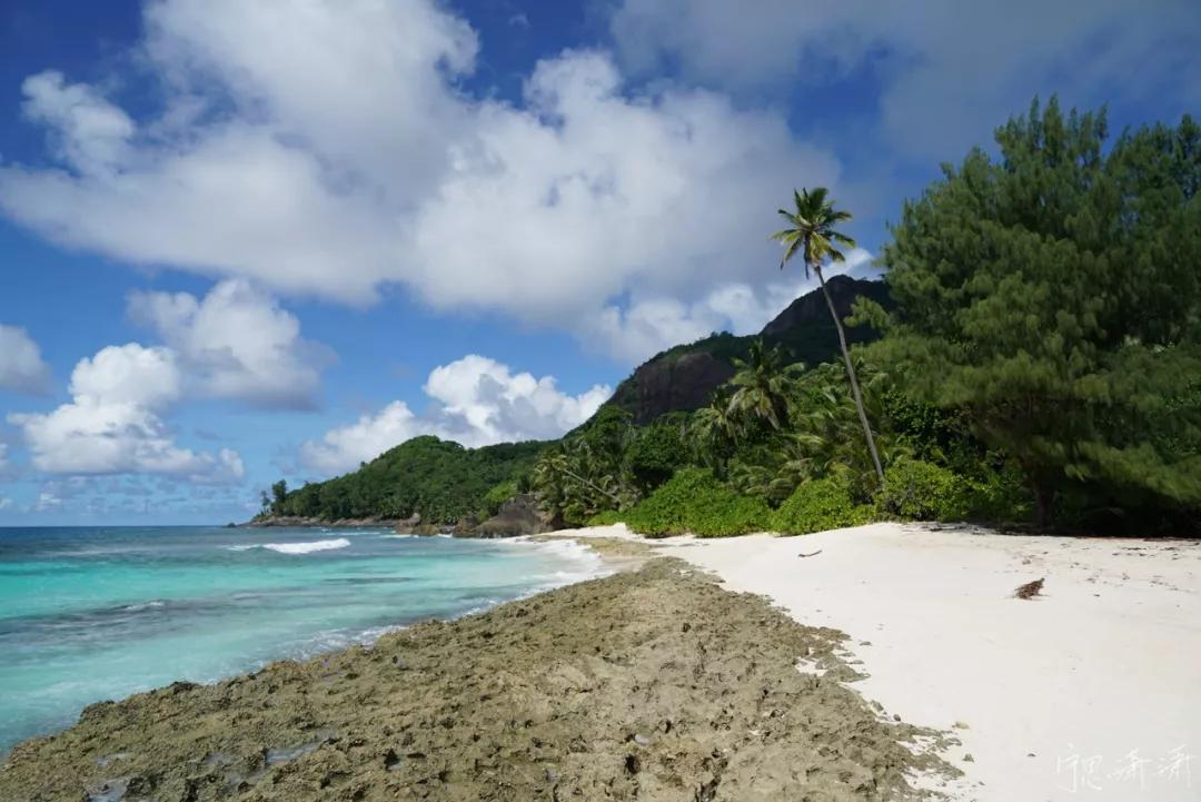 拍照用点对焦还是自动区域对焦,对焦的奥秘视频拍摄中的对焦技巧