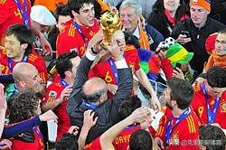 费尔南多托雷斯复出去哪了,费尔南多托雷斯巅峰期在哪支球队