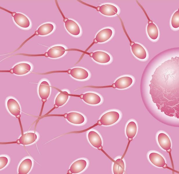 怀一次停育了一直怀不上,怀了两个胎怎么办