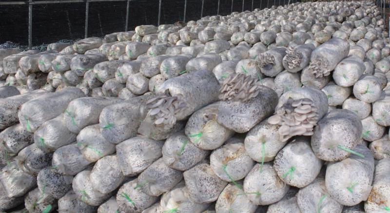 杞县幸福一生,杞县幸福一生视频