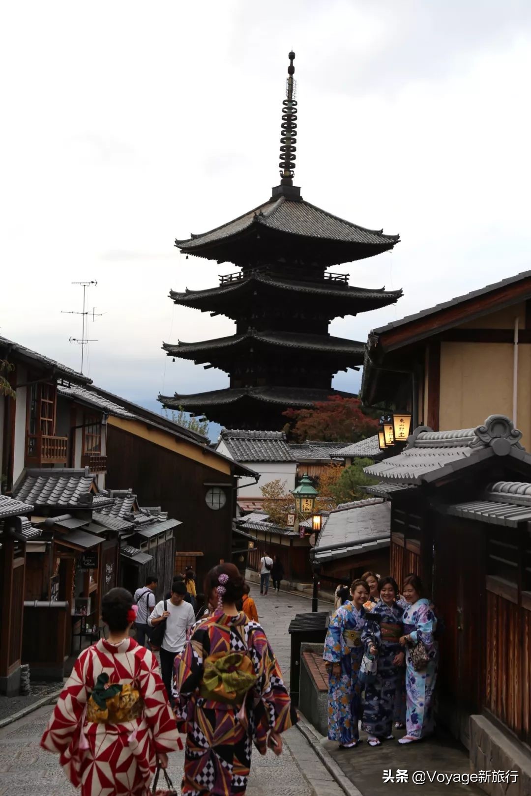 秋天来京都，体验「限定红」的“枫”情万种