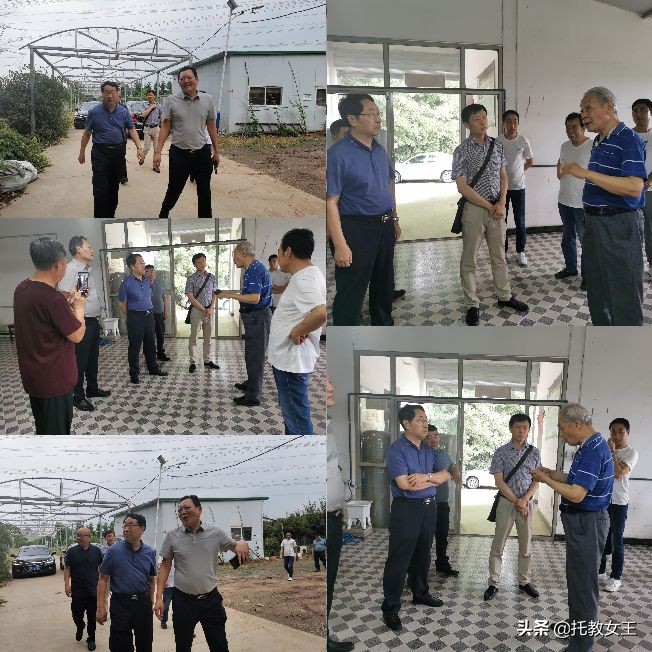 陕西益能生物科技有限公司,乳酸菌生态养殖基地