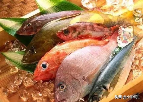 海鲜干货推荐烟台店有哪些,烟台海鲜干货怎么挑