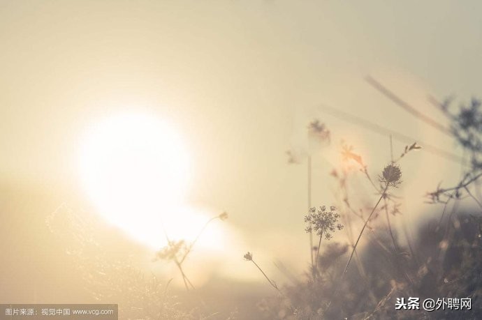 打工度假一年能赚多少钱,打工度假要多少钱