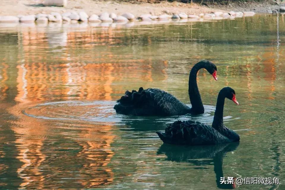 信阳师院附近吃住方便吗,信阳师院哪里好玩
