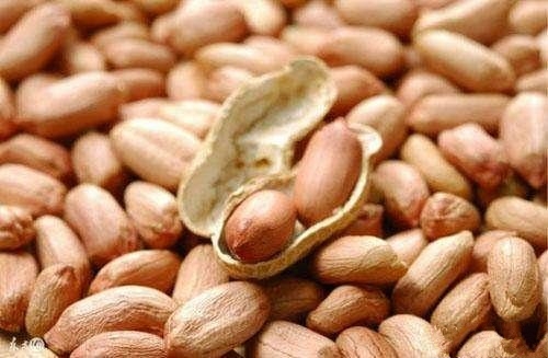 花生钓鱼饵料配方大全,怎样泡制花生饵料