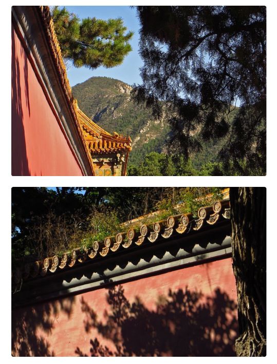 知乎中国与美国有什么相同与不同,知乎网友对中国美国发展的评论