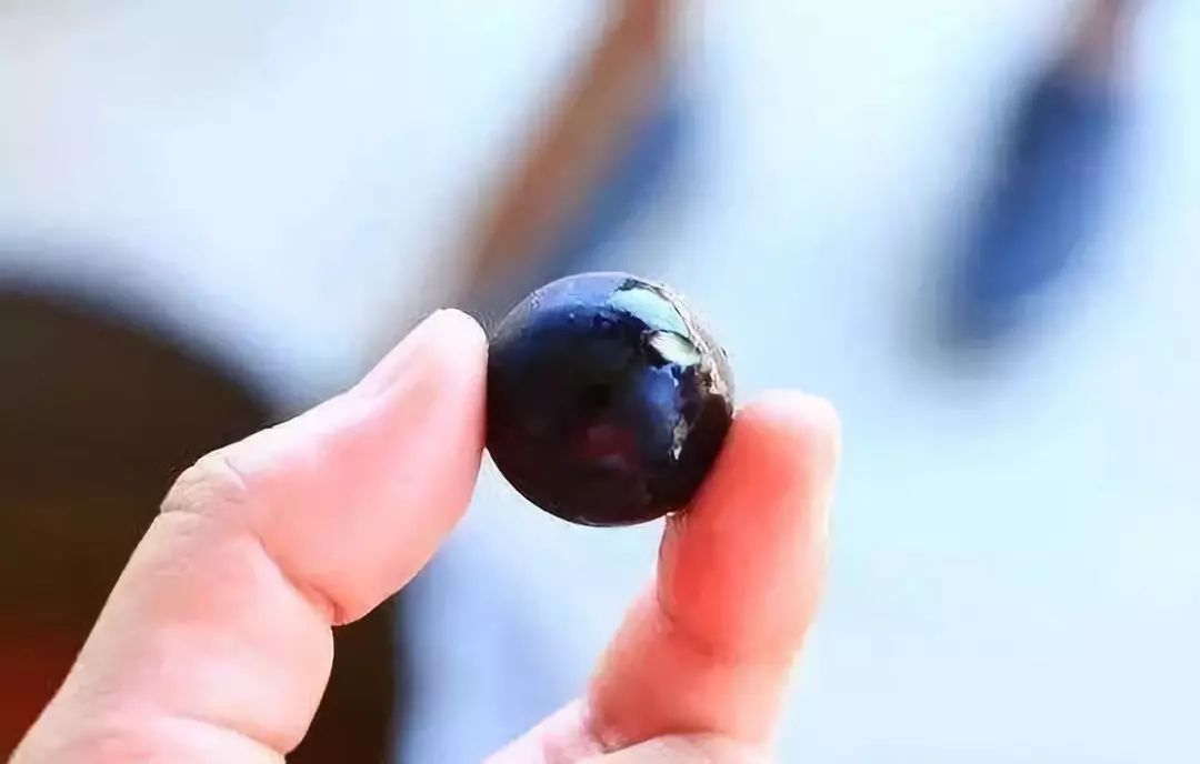 真的是活久见!长成这样居然能吃?