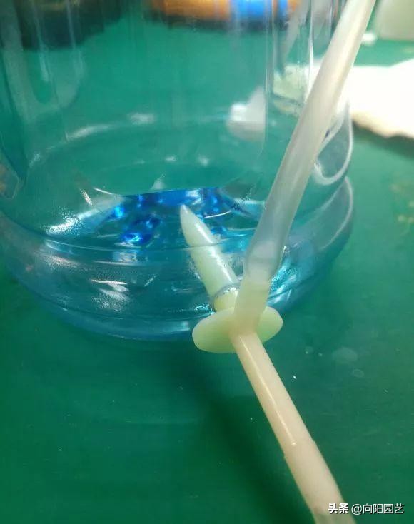 自制夏天自动浇水简易装置,自制室内无人自动浇水神器