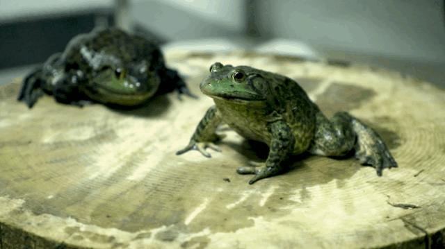 全场4.9折!吃了中山路上这家老牌网红才知道什么是真正的爽!