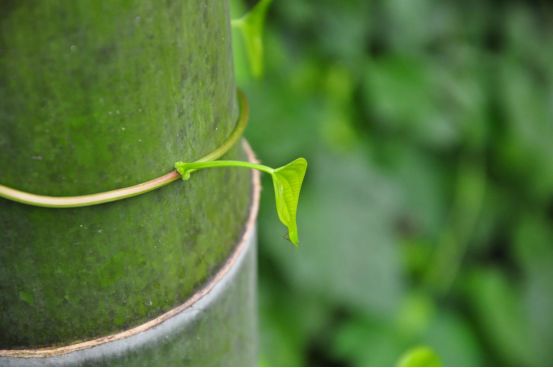 有景有画的诗,有景有情的诗写秋天的
