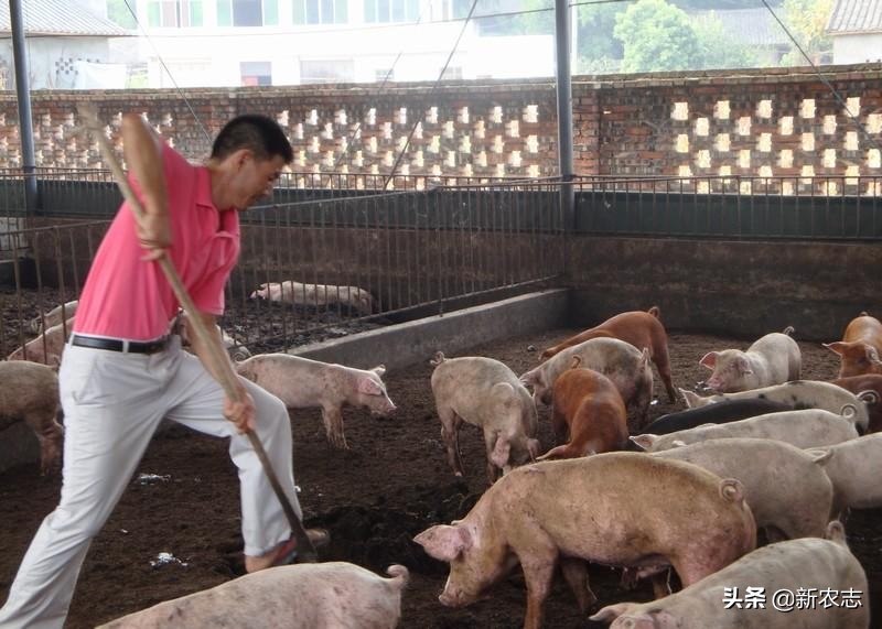 现在在农村创业什么行业最好,农民做什么生意不赚钱