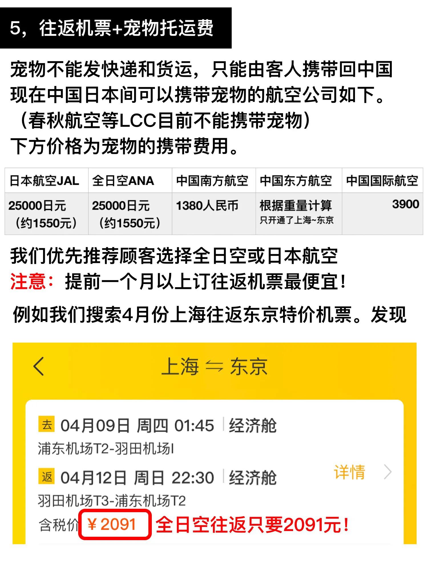 在日本买柴犬要60万？