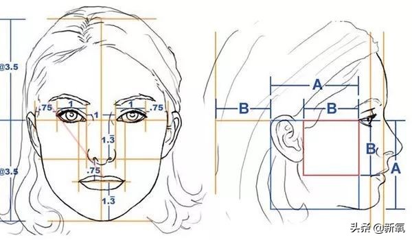 崔雪莉综艺回应恶评,崔雪莉为什么那么有人气