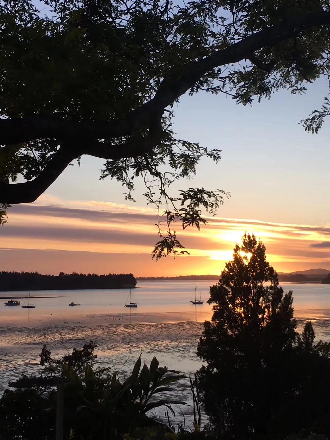 记忆中的旅行之新西兰（北岛）