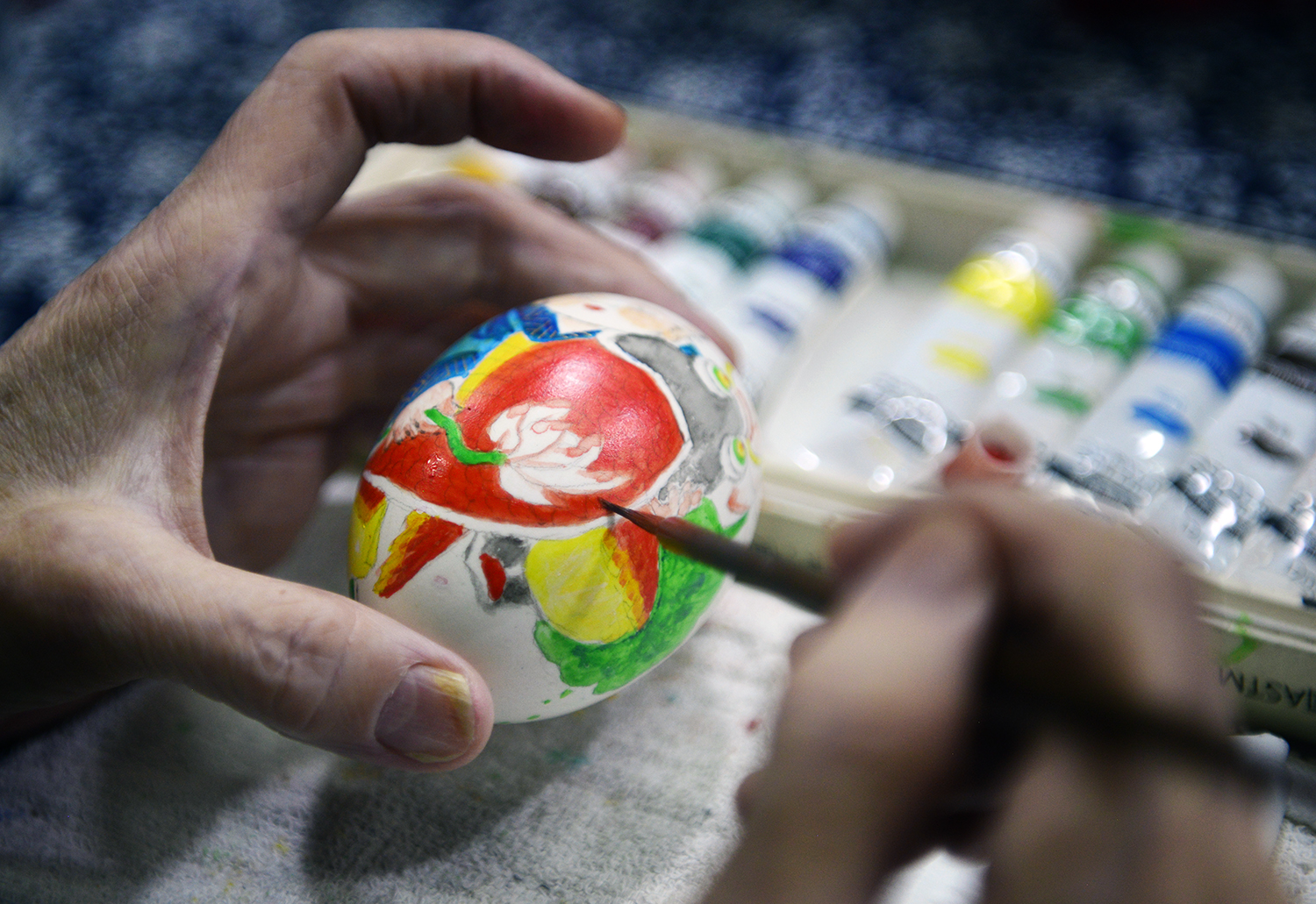 嘉兴鱼米之乡风景,去嘉兴看精致的江南风情