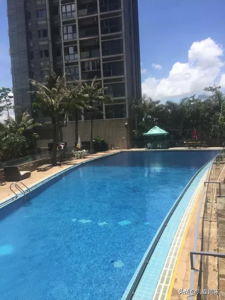 深圳游泳教练培训学校有哪些,深圳成人游泳培训班哪里好