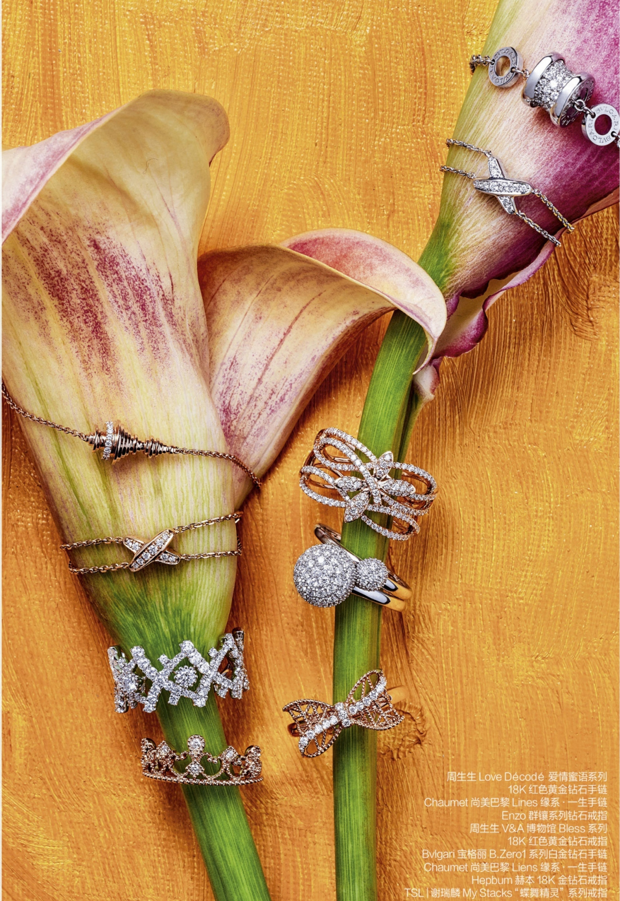 买钻戒买周大福好还是卡地亚好,钻石5万左右选什么品牌的钻戒