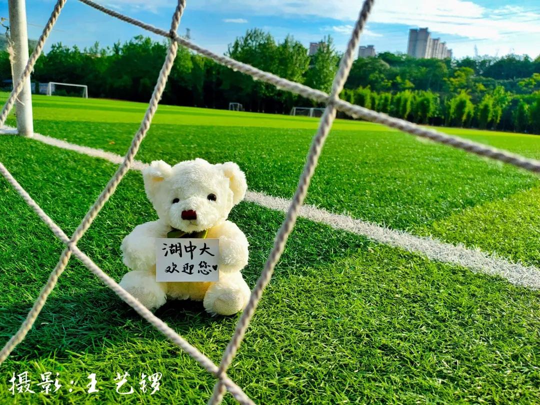 中医药文创设计大赛方案,中医药产品设计大赛作品