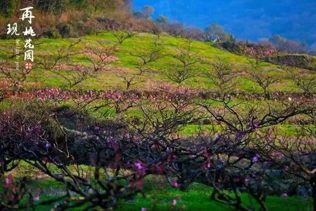 北仑旅游攻略大全集,北仑旅游攻略