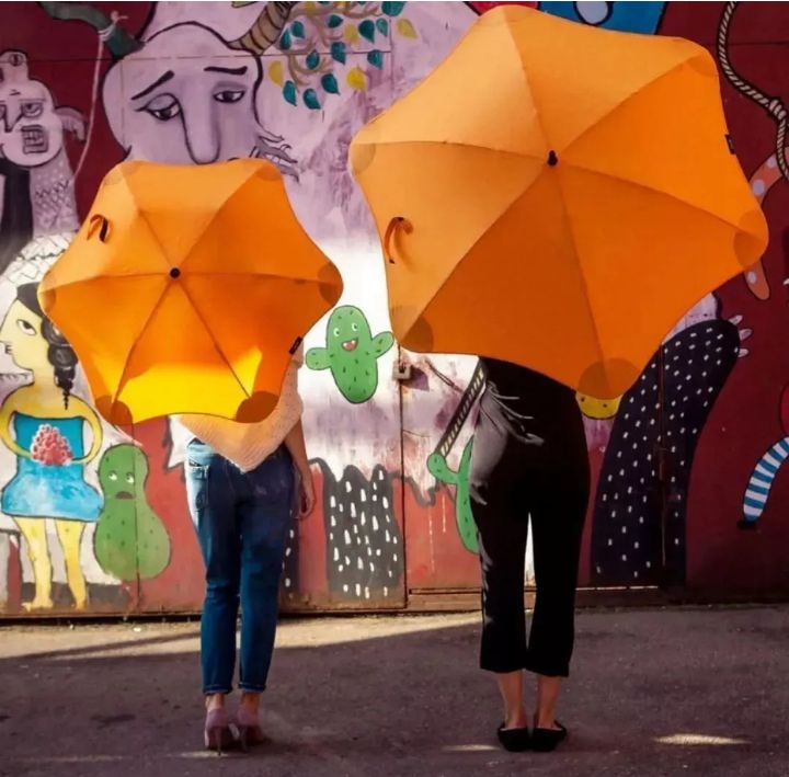 伞晴雨两用高颜值复古风胶囊伞,日系雨伞长伞推荐
