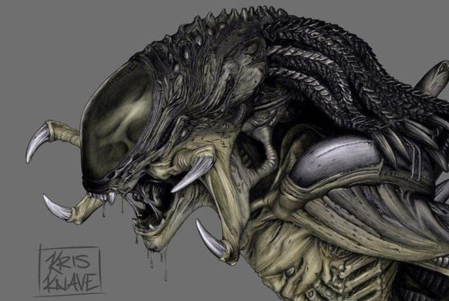 寮傚舰vs閾佽鎴樺＋娣卞害瑙ｈ,涔愰珮閾佽鎴樺＋vs寮傚舰