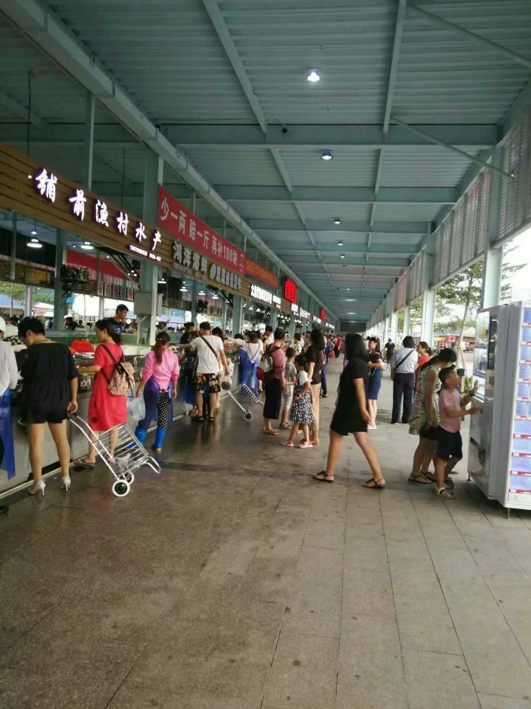 在这个阳光明媚的春季,在这个阳光灿烂的日子里