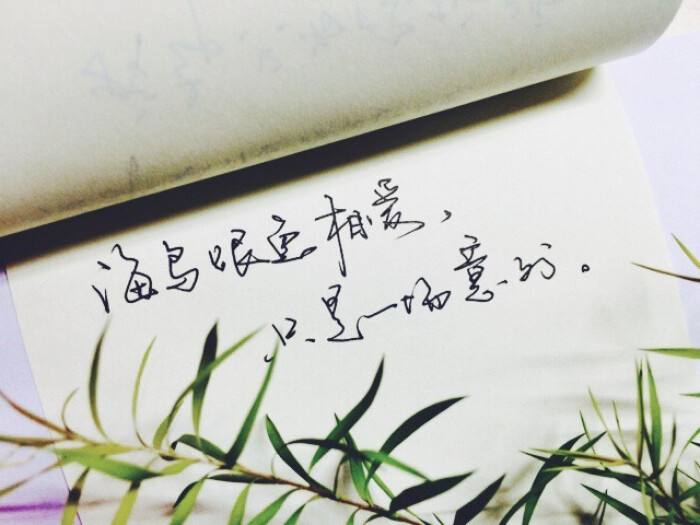 一事无成没有一技之长很迷茫,一事无成没存款