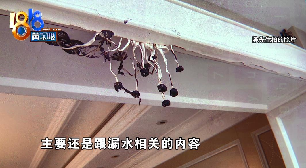 千万豪宅突然长出蘑菇,千万豪宅被收