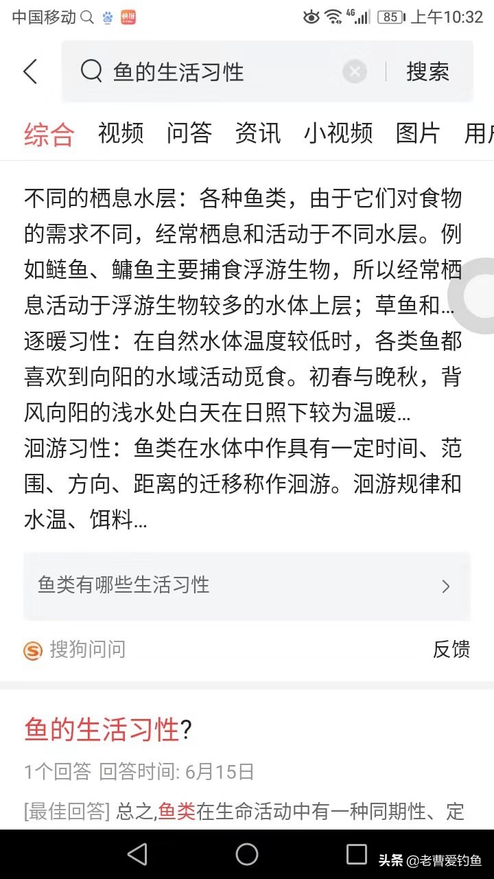 自制酒米钓鱼方法,自己用小米做鱼饵最简单方法