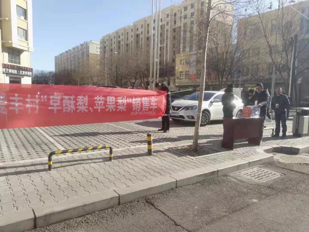 巴彦淖尔滞销梨,巴彦淖尔梨