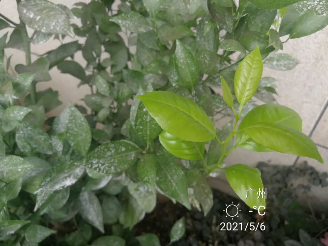 防晒品排行榜前十名12岁,防晒用品排行榜第一名