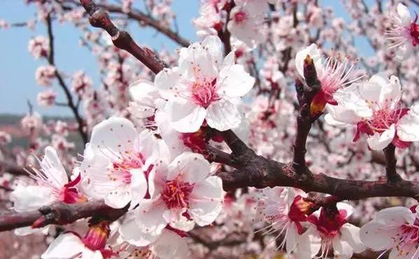 最全成语分类汇总,最全最实用的成语总结